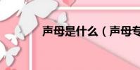 聲母是什么(聲母專業解釋)
