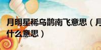 月明星稀烏鵲南飛意思(月明星稀烏鵲南飛是什么意思)