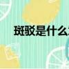 斑駁是什么意思（簡介斑駁是什么意思）