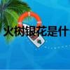 火樹銀花是什么意思（火樹銀花解釋及出處）