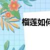 榴蓮如何催熟（榴蓮催熟的方法）