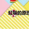 虹吸的原理是什么（虹吸的原理簡述）