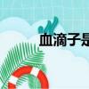 血滴子是什么東西（血滴子解釋）