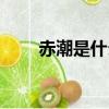 赤潮是什么意思（赤潮的意思介紹）