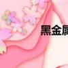 黑金屬是哪些（有哪些定義）