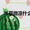 半夏微涼什么意思（怎么理解半夏微涼的意思）