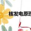 核發電原理是什么（核發電原理介紹）