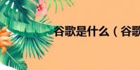 谷歌是什么(谷歌介紹)