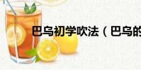 巴烏初學吹法(巴烏的吹奏方法)