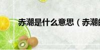 赤潮是什么意思(赤潮的意思介紹)