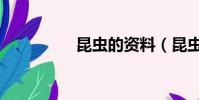 昆蟲的資料(昆蟲介紹)
