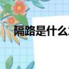 隔路是什么意思（詞語隔路是什么意思）