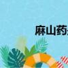 麻山藥是什么（麻山藥的介紹）