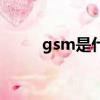 gsm是什么意思啊（gsm的意思）