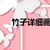 竹子詳細畫法步驟（4個步驟快速完成）