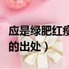 應是綠肥紅瘦的紅瘦是什么花（應是綠肥紅瘦的出處）