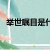 舉世矚目是什么意思（舉世矚目含義介紹）