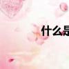 什么是祈使句（祈使句簡述）