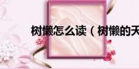 樹懶怎么讀(樹懶的天敵是什么)