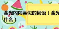 金光閃閃類似的詞語(金光閃閃樣式的詞語有什么)