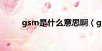 gsm是什么意思啊(gsm的意思)