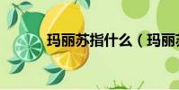 瑪麗蘇指什么(瑪麗蘇的意思)