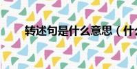 轉述句是什么意思(什么是轉述句)