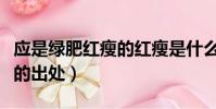 應是綠肥紅瘦的紅瘦是什么花(應是綠肥紅瘦的出處)