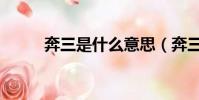 奔三是什么意思(奔三什么意思)