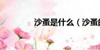 沙蚤是什么(沙蚤的介紹)