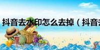 抖音去水印怎么去掉(抖音去水印如何去掉)