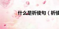 什么是祈使句(祈使句簡述)