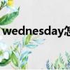 wednesday怎么讀（如何讀出wednesday）
