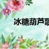 冰糖葫蘆歌詞（冰糖葫蘆歌詞是什么）