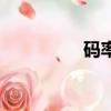 碼率是什么（碼率介紹）