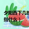 夕陽西下幾時回是什么意思（夕陽西下幾時回指什么）