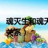 魂滅生和魂天帝什么關系（魂滅生和魂天帝的關系）