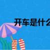 開車是什么意思網絡語（開車的意思）