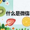 什么是微信小程序（微信小程序的解釋）