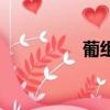 葡組詞（葡字怎么組詞）