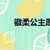 徽柔公主原型（快來這里科普知識了）