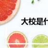 大校是什么級別（大校級別簡述）