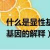 什么是顯性基因和隱性基因（顯性基因和隱性基因的解釋）