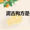泥古拘方是什么意思（泥古拘方的解釋）