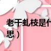 老干虬枝是什么意思（怎么理解老干虬枝的意思）