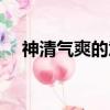 神清氣爽的意思（神清氣爽是什么意思）