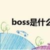 boss是什么牌子（boss高端品牌介紹）