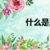 什么是水桶理論（水桶效介紹）