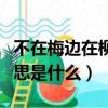 不在梅邊在柳邊什么意思（不在梅邊在柳邊意思是什么）