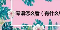 琴譜怎么看(有什么看的技巧)